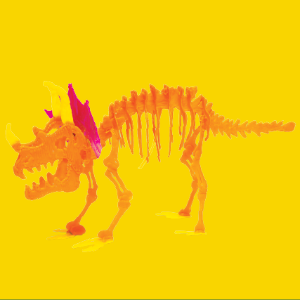 a 3D doodled orange triceratops skeleton on a yellow background